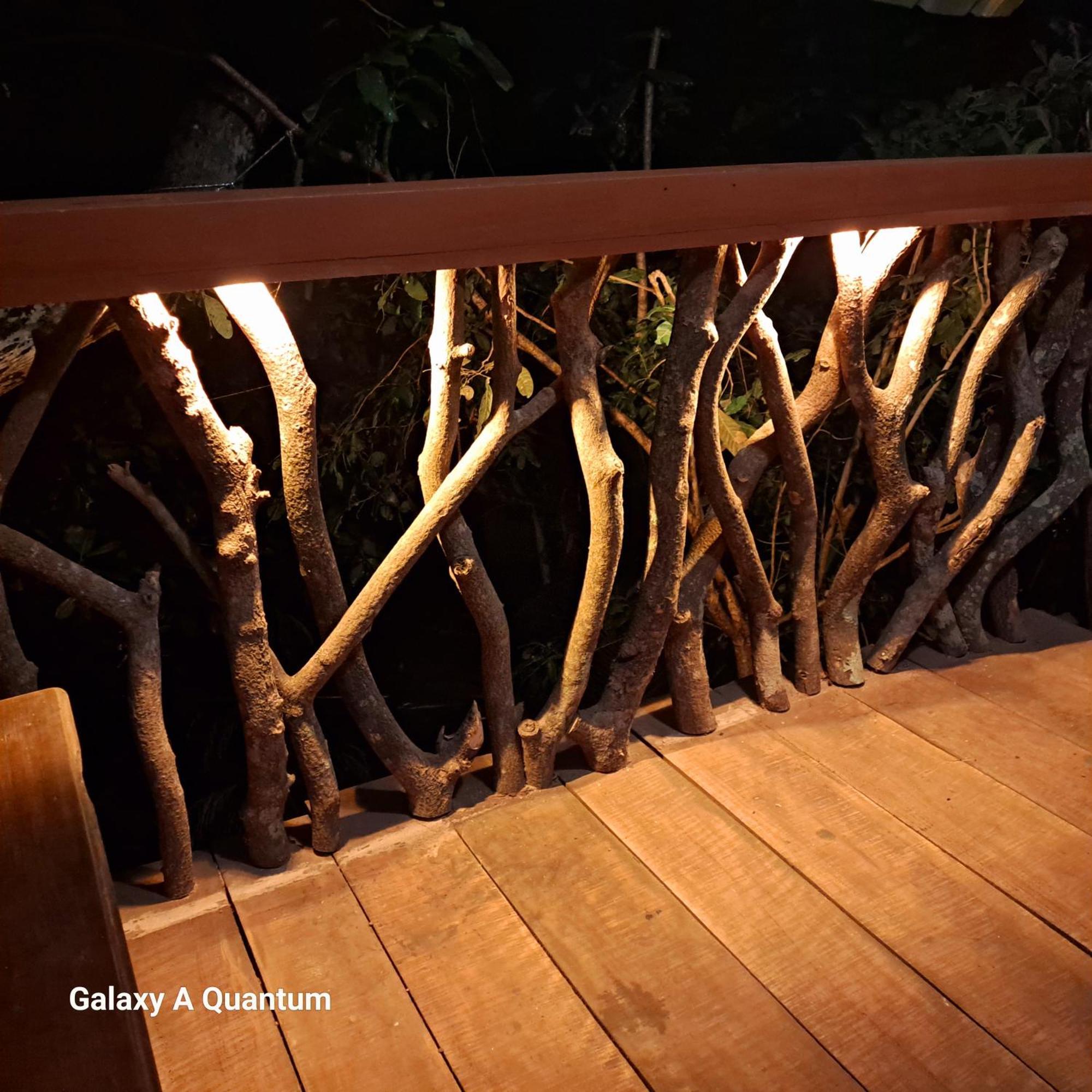 Green Leaf Tree House دامبولا المظهر الخارجي الصورة