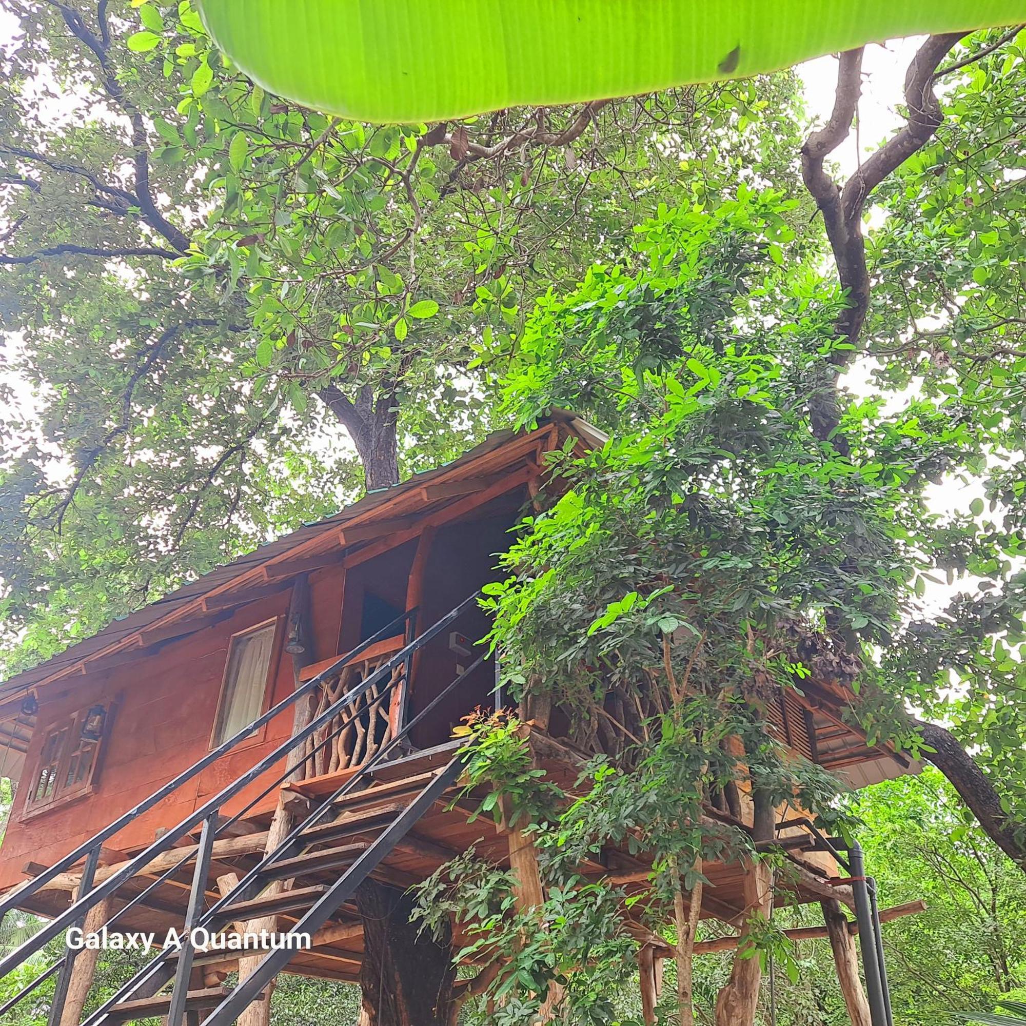 Green Leaf Tree House دامبولا المظهر الخارجي الصورة