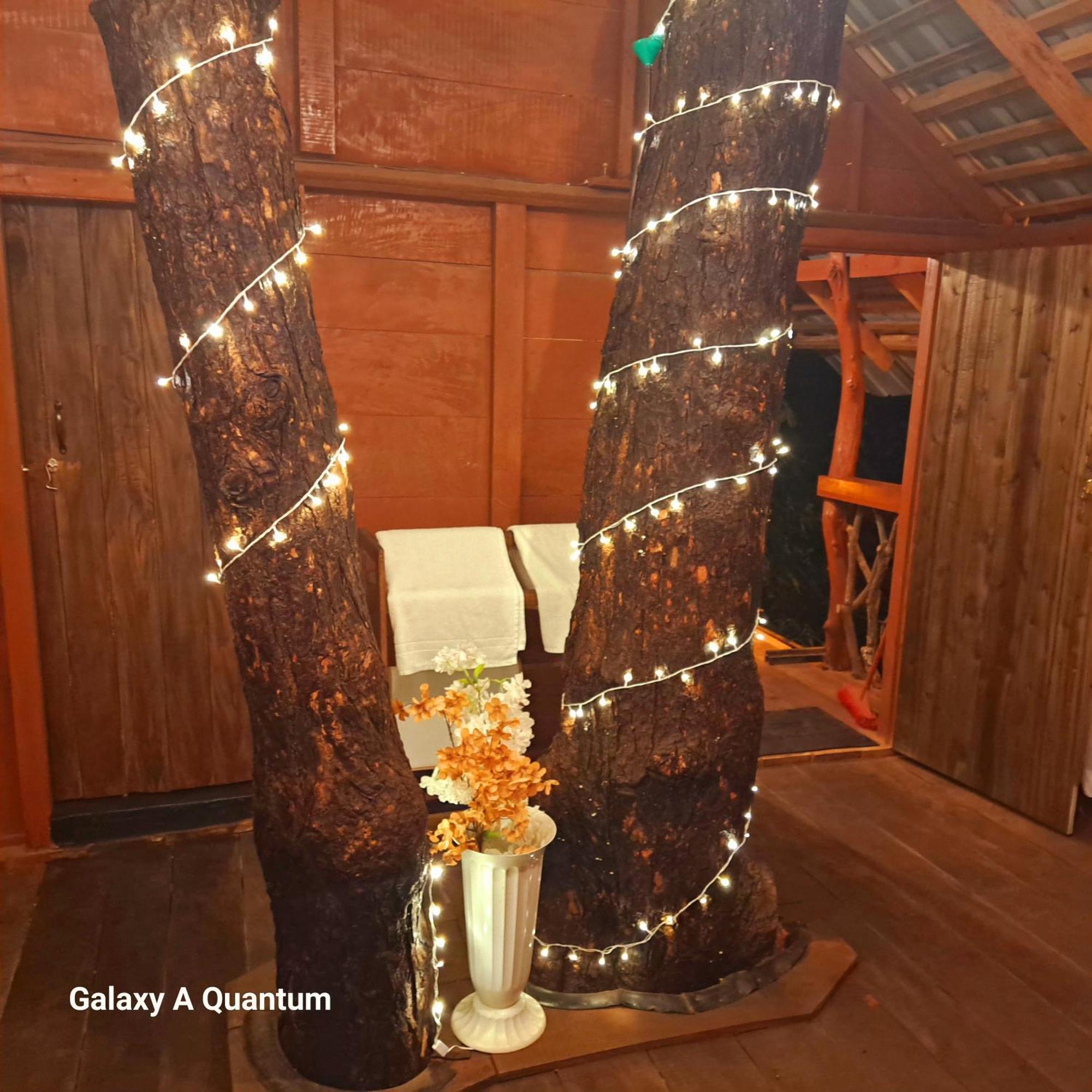 Green Leaf Tree House دامبولا المظهر الخارجي الصورة